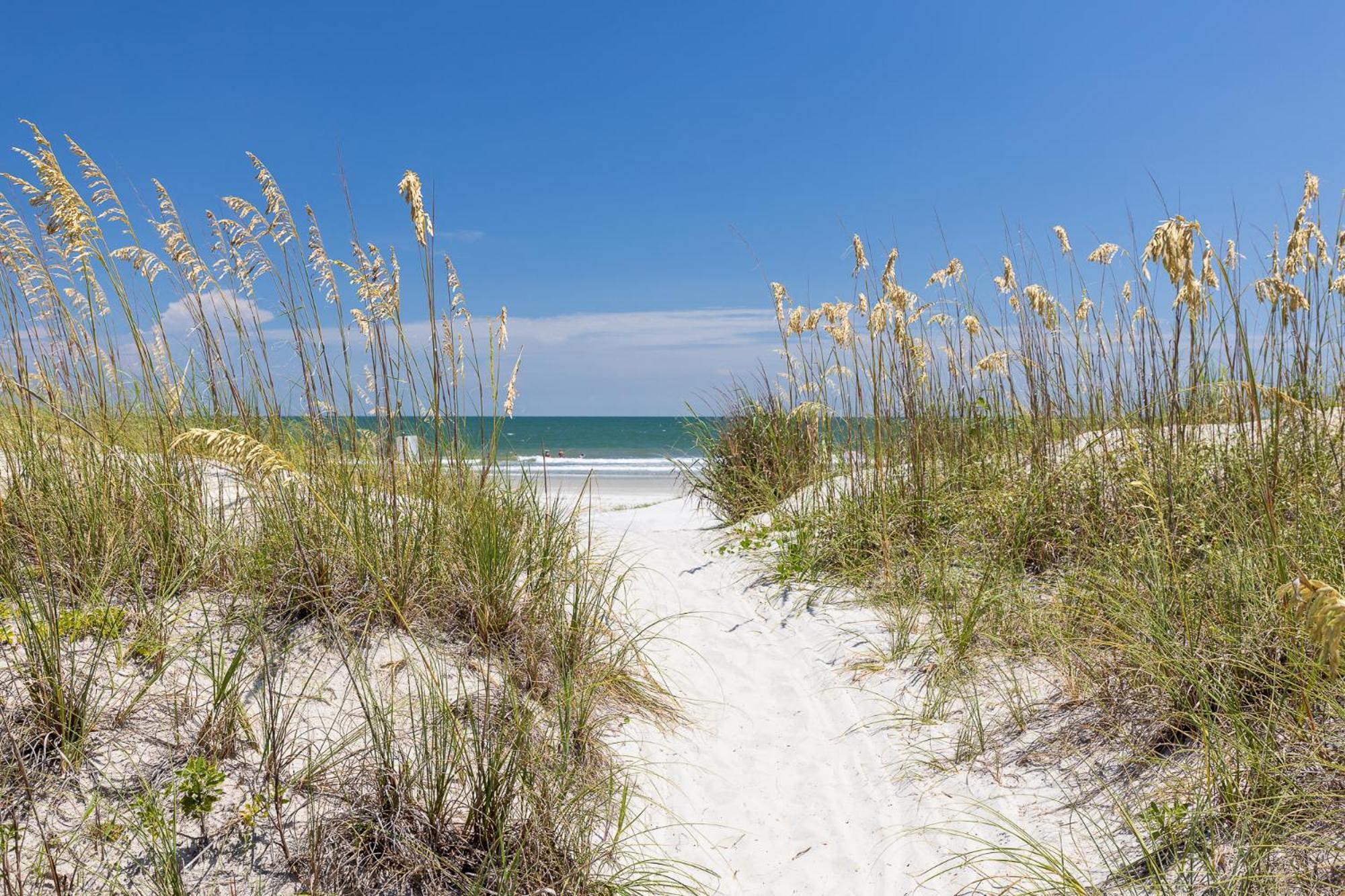 Willa 6 Wanderer - Host2Coast Hilton Head Island Zewnętrze zdjęcie